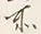 字所