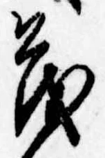 已定位茂