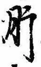 已定位肝