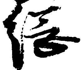 位置 確認된 綱
