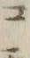 “ヒ”字