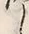 Character 銘