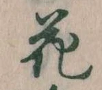 位置 確認된 花