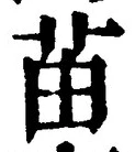 文字苗