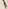 “田”字