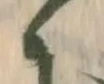 位置 確認된 滅