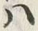 文字 段