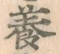 Character 養