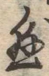 已定位懸