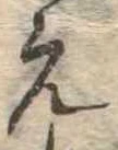 位置 確認된 未指定