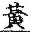 位置定マレル黄