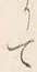 “て”字