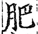 Chữ 肥
