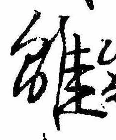 已定位雛