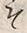 “そ”字