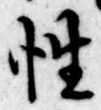 Đã định vị 性