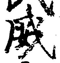 已定位威