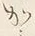 𡨸か