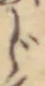 Character じ