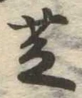 位置 確認된 芝