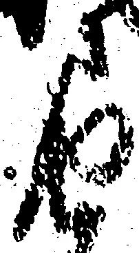 届，已得其位