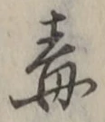 Character 毒