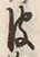 文字皮