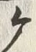 文字ヶ