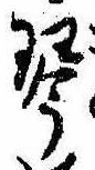 Located 琴