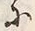 字能