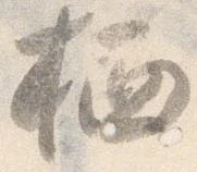栖の位置