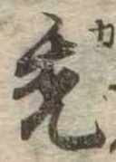 禿 위치 확인됨