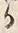 字染