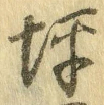 位置 確認된 坪