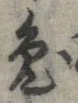 已定位兎