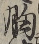 文字 胸