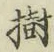 「樹」字