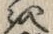 字聞