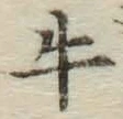 字牛