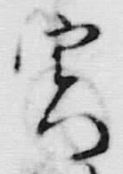 Character 実