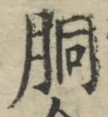 文字 胴