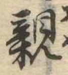 已定位親