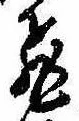 已定位飛