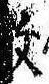 Located 敢