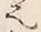 文字 扨