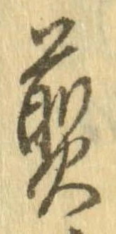 已定位濃