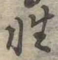 Đã định vị 性