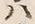 𡨸開