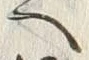 “渡”字