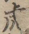 已定位虎